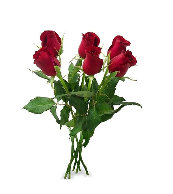 Maço Rosas Variado